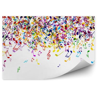 Fototapeta Farebné noty na bielom pozadí 