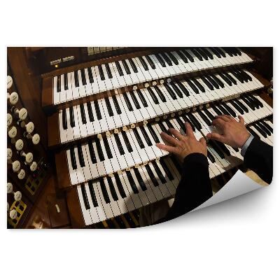 Fototapeta Organ organista klávesy