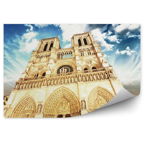 Fototapeta Katedrála Notre Dame Paríž stromy obloha mraky