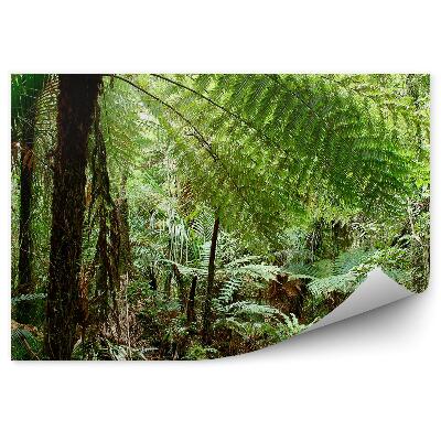 Fototapeta Tropická džungľa les zelená príroda