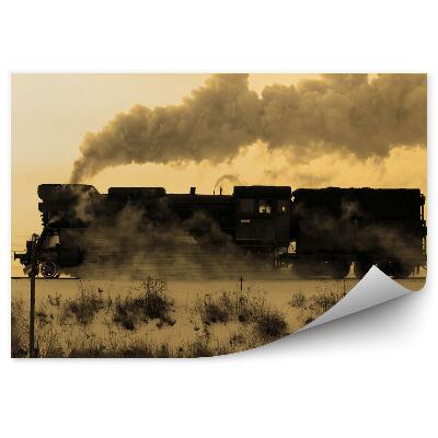 Fototapeta na stenu Starý Parný Vlak Zimný Sneh Sépia