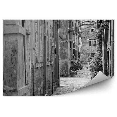 Fototapeta Úzka ulica v talianskych Benátkach
