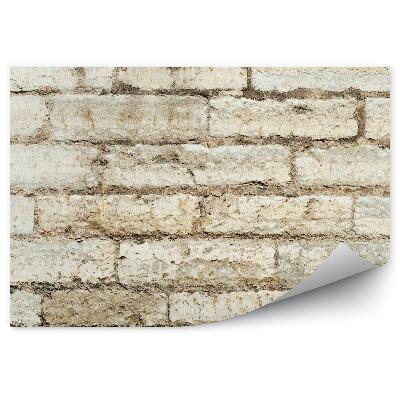 Fototapeta Staré schátrané biele tehly