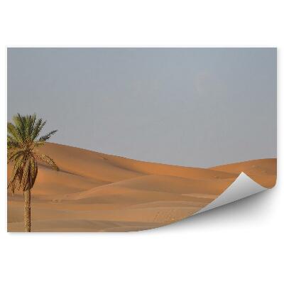 Fototapeta Púštne Piesočné Palmy Obloha