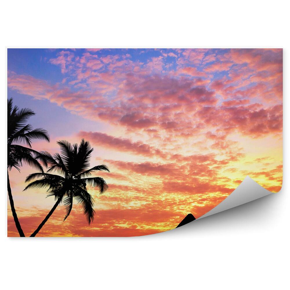 Fototapeta na stenu Egyptské Pyramídy Palmy Západ Slnka