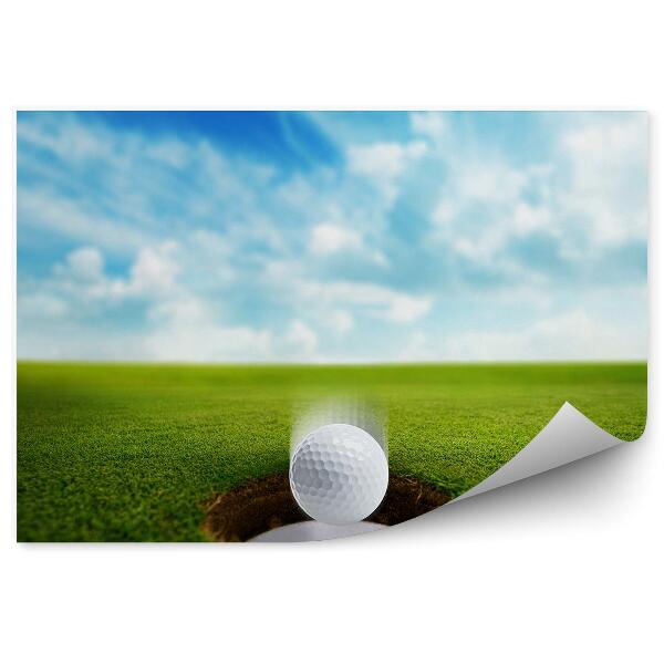 Fototapeta na stenu Luknja žogica za golf oblaki neba trava