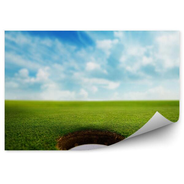 Fototapeta Žogica za golf luknja trava oblaki neba