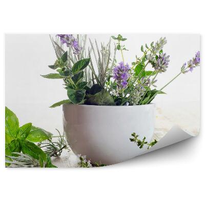 Fototapeta Čerstvé bylinky listy kvety miska drevo