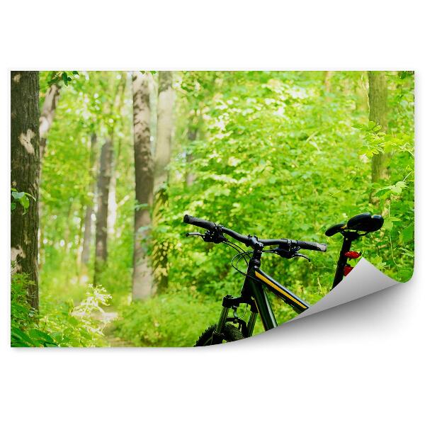 Fototapeta na stenu Cesta Na Horskom Bicykli Les Príroda