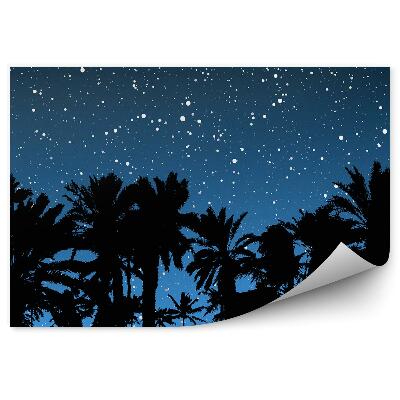 Fototapeta na stenu Palmy Noc Hviezdna Obloha Noc