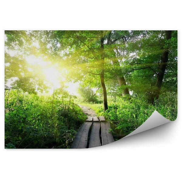 Fototapeta na stenu Zelená príroda drevená paluba žiara svetla