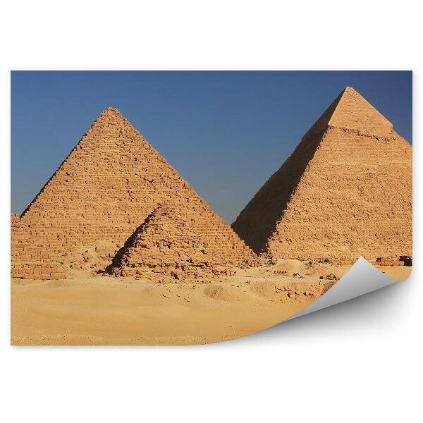 Fototapeta na stenu Piramide pesek kamele