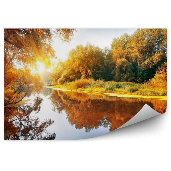 Fototapeta na stenu Rieka v lese na jeseň