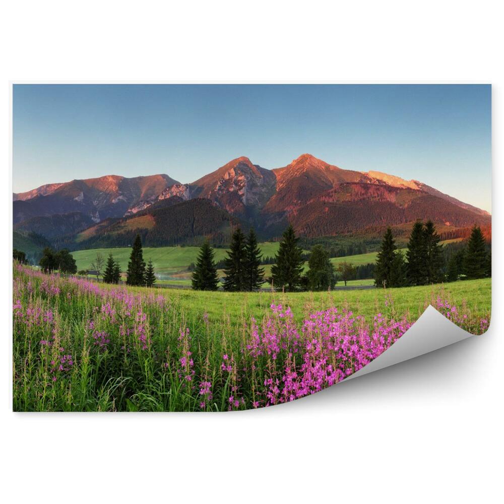 Fototapeta Krásna panoráma hôr na Slovensku