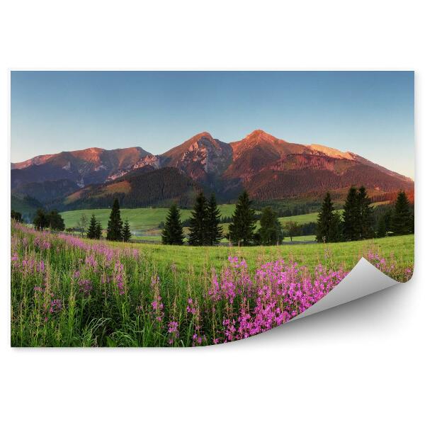 Fototapeta Krásna panoráma hôr na Slovensku