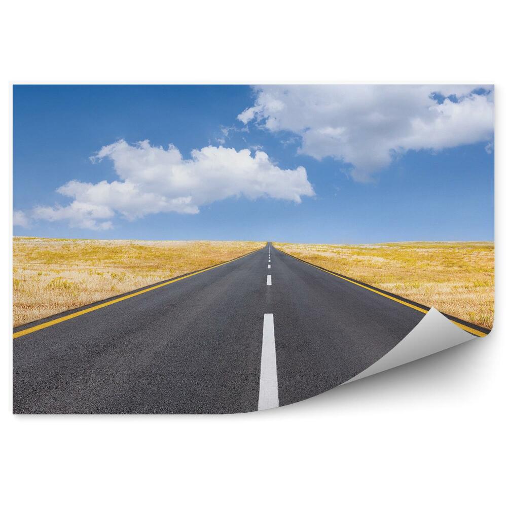 Fototapeta Prázdna Cesta Tráva Slnečný Deň