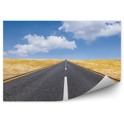 Fototapeta Prázdna Cesta Tráva Slnečný Deň