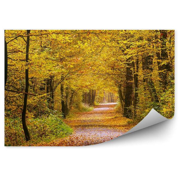 Fototapeta Jesenný les žlté listy cesta