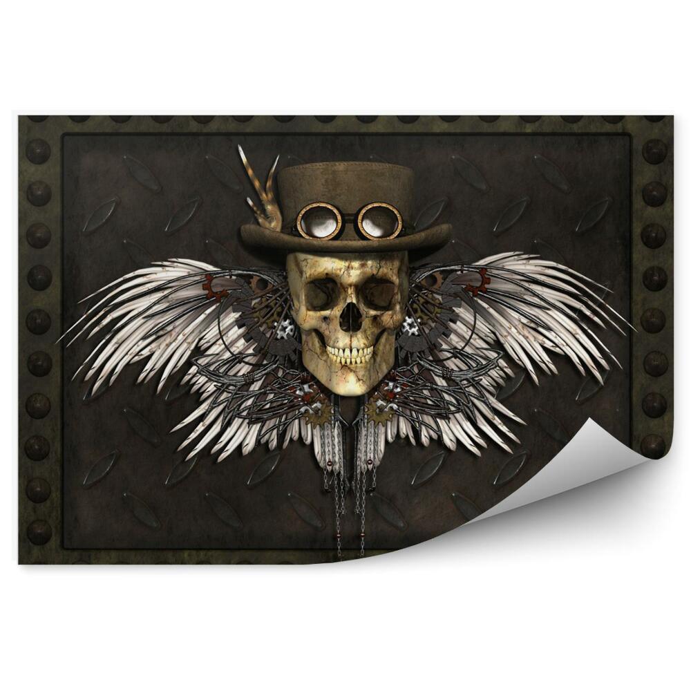 Fototapeta na stenu Lebka a krídla