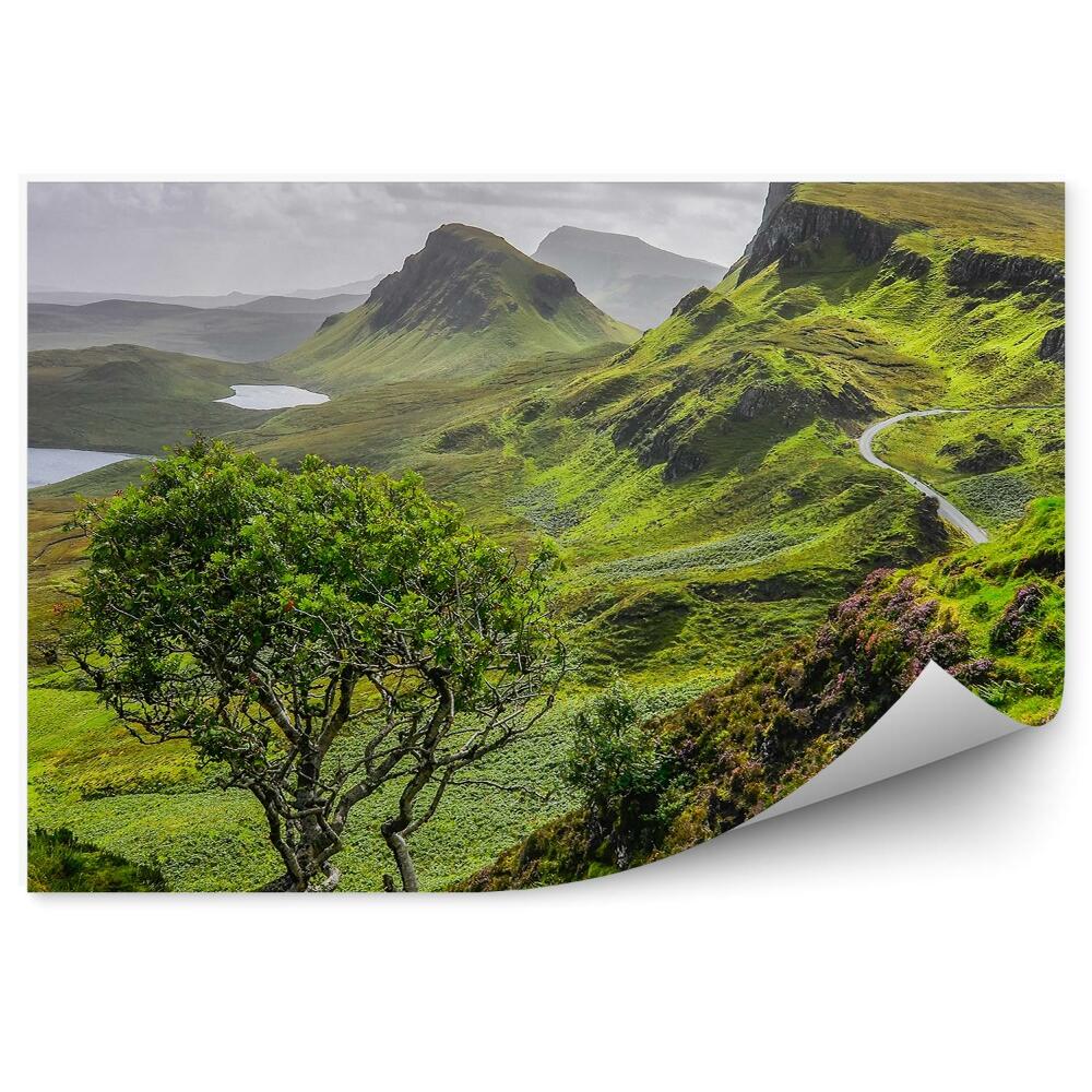 Fototapeta na stenu Pohľad Na Hory Quiraing Cesta Stromy Rastliny Príroda Obloha Mraky