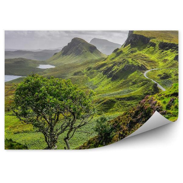 Fototapeta na stenu Pohľad Na Hory Quiraing Cesta Stromy Rastliny Príroda Obloha Mraky