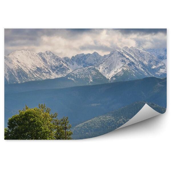 Fototapeta na stenu Tatry sneh tatry stromy les nebo mraky
