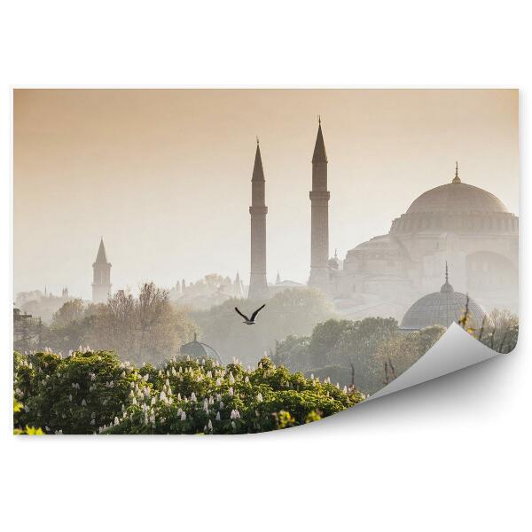 Fototapeta Sultanahmet camii / modrá mešita istanbul turecko
