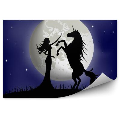 Fototapeta Silueta krásnej dievčiny a jednorožca na mesačnom pozadí