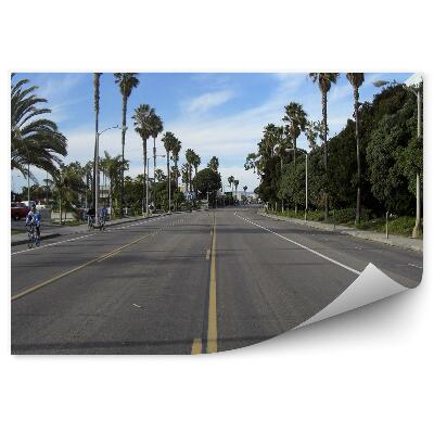 Fototapeta na stenu Ulica palmy cyklisti Los Angeles