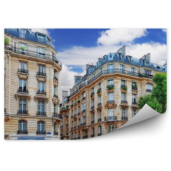 Fototapeta Mesto architektúra stromy ulica obloha mraky Francúzsko Paríž