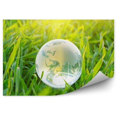 Fototapeta na stenu Guľa planéta Zem v tráve zelená príroda