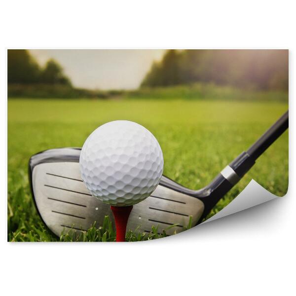 Fototapeta na stenu Palica žogica za golf trava rastlina