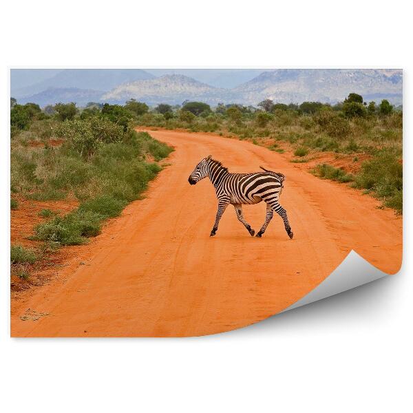 Fototapeta na stenu Keňa Zebra Cesta Piesok Tráva Hory