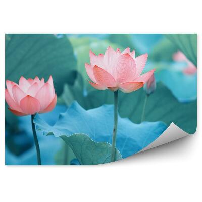 Fototapeta na stenu Lekná A Modré Listy