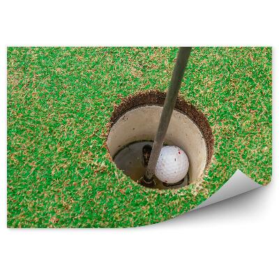 Fototapeta Žogica za golf luknja trava klub