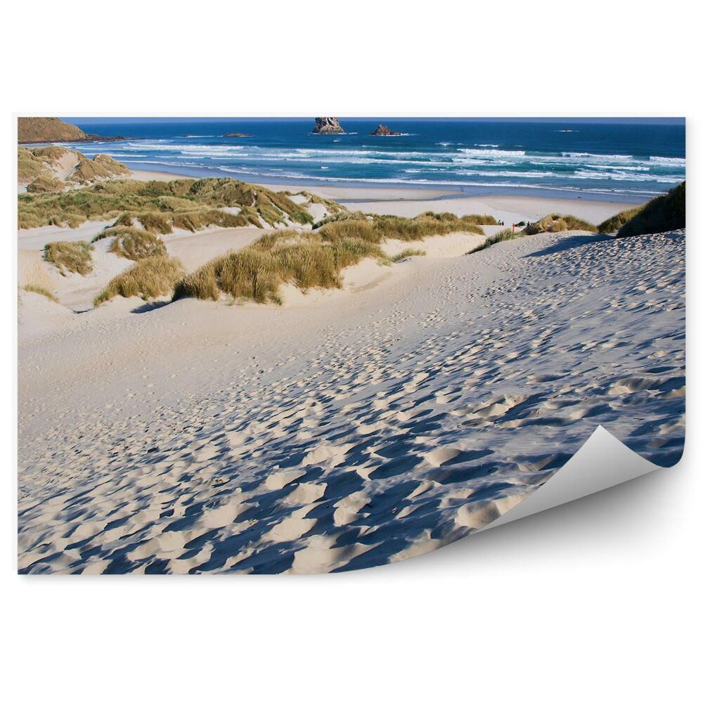 Fototapeta Pláž Duny Hory Rastliny Oceán Obloha Mraky