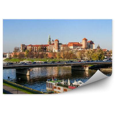 Fototapeta Krakov panoráma most autá loď katedrála wawel rieka visla stromy