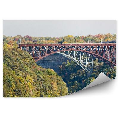 Fototapeta na stenu Stromy vegetácia most cez rieku