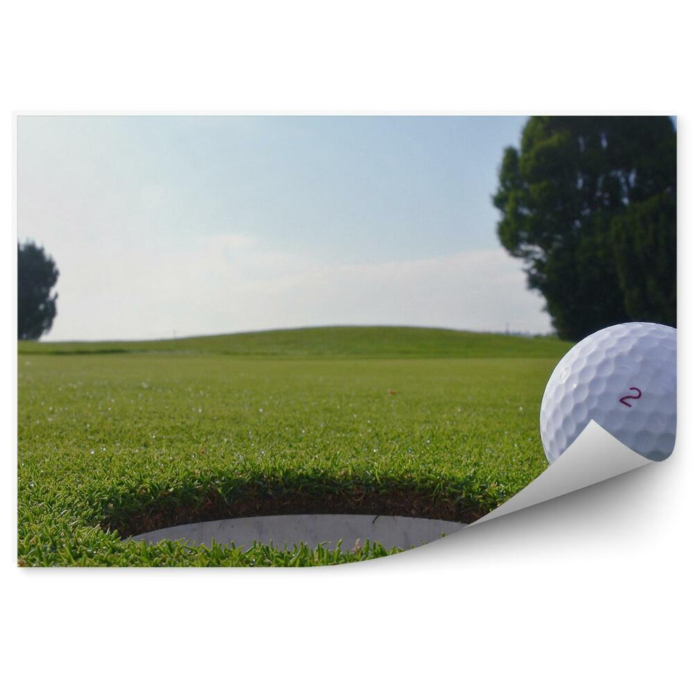 Fototapeta Žogica za golf luknja drevesa trava voda oblaki neba