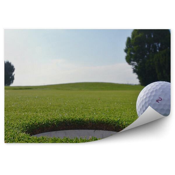 Fototapeta Žogica za golf luknja drevesa trava voda oblaki neba