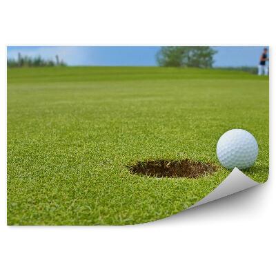 Fototapeta na stenu Žogica za golf luknja oblaki neba trava drevesa