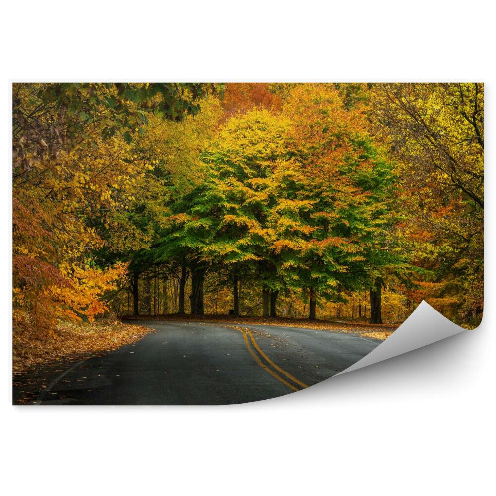 Fototapeta na stenu Jeseň v lese