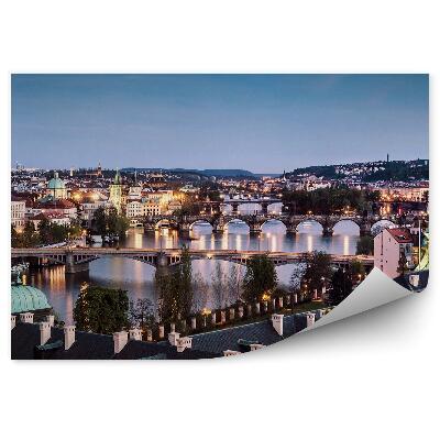 Fototapeta Mosty panoráma Praha tma