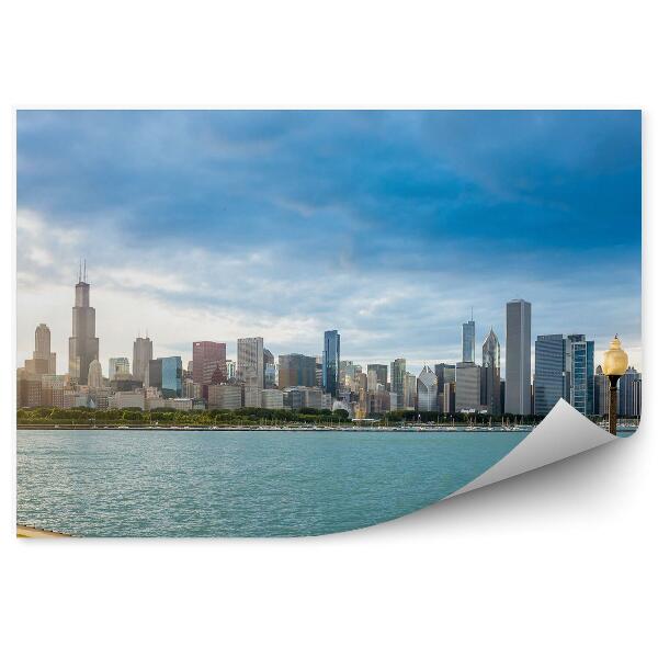 Fototapeta na stenu Mrakodrapy stromy oceán tráva Chicago obloha
