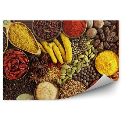 Fototapeta na stenu Indické korenie