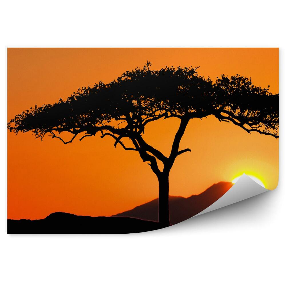 Fototapeta na stenu Strom Pri Východe Slnka Hory