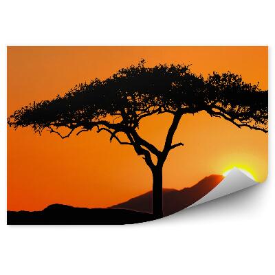 Fototapeta na stenu Strom Pri Východe Slnka Hory