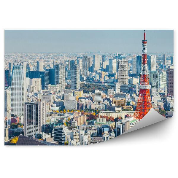 Fototapeta na stenu Pohľad z vtáčej perspektívy obloha mraky Tokio Japonsko