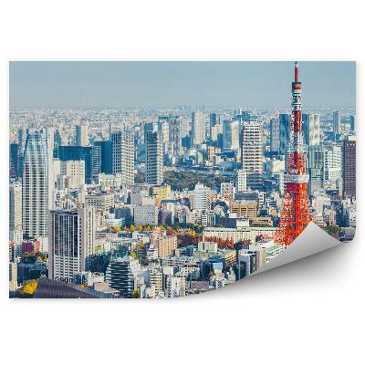 Fototapeta na stenu Pohľad z vtáčej perspektívy obloha mraky Tokio Japonsko