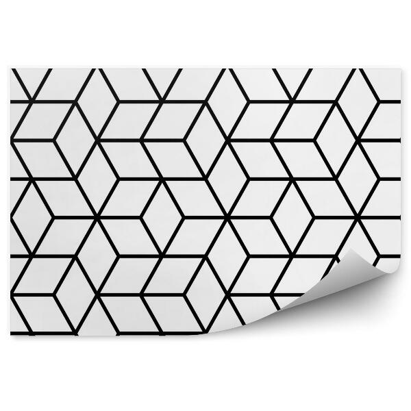 Fototapeta na stenu Geometrický vzor kocky